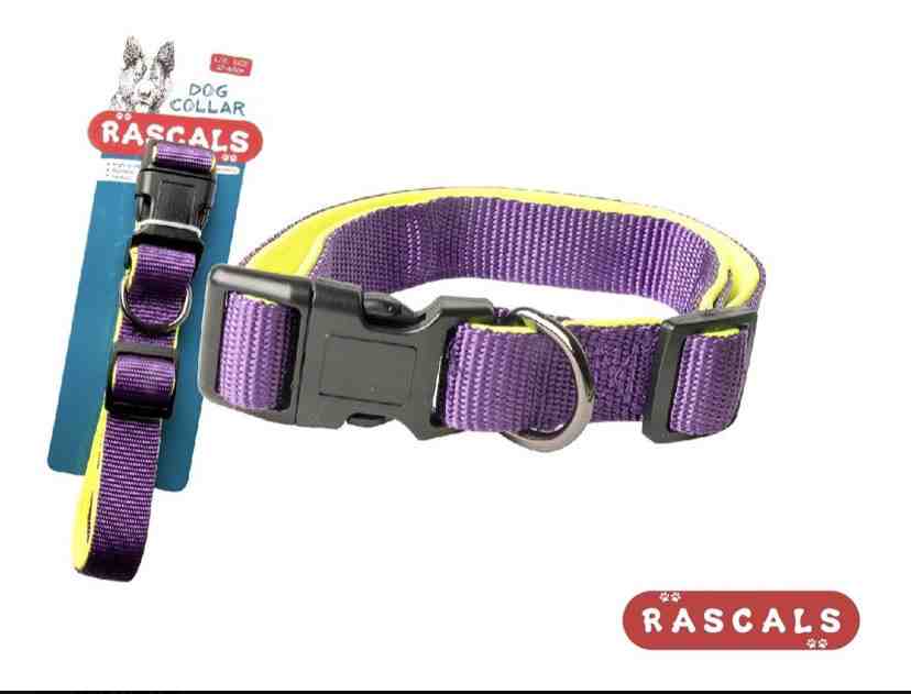 COLL95886-S COLLAR RASCALS VIOLETA ACOLCHONADO 